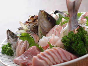 お料理、ある日の仕入れ ある日の仕入れ写真