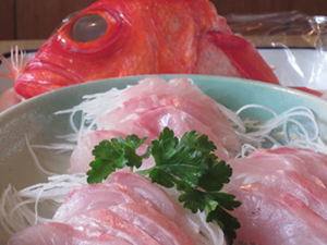 お料理、ある日の仕入れ ある日の仕入れ写真