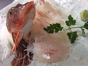 お料理、ある日の仕入れ ある日の仕入れ写真